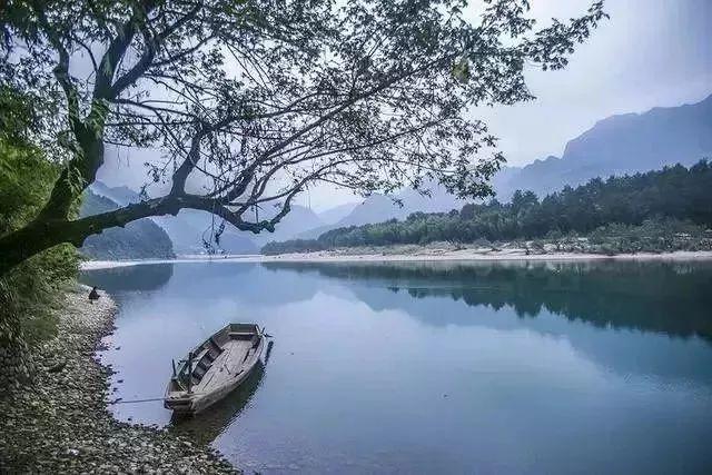 机智问答网页-探索卫生间放什么木本植物好的智慧答案